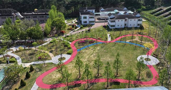 1119 2025년 안동  녹색도시로 다시 태어나다 (3)-나눔숲.jpg