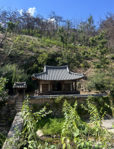 1130 2025 안동  문화유산과 함께 지속 가능한 미래를 그리다 (1).jpg