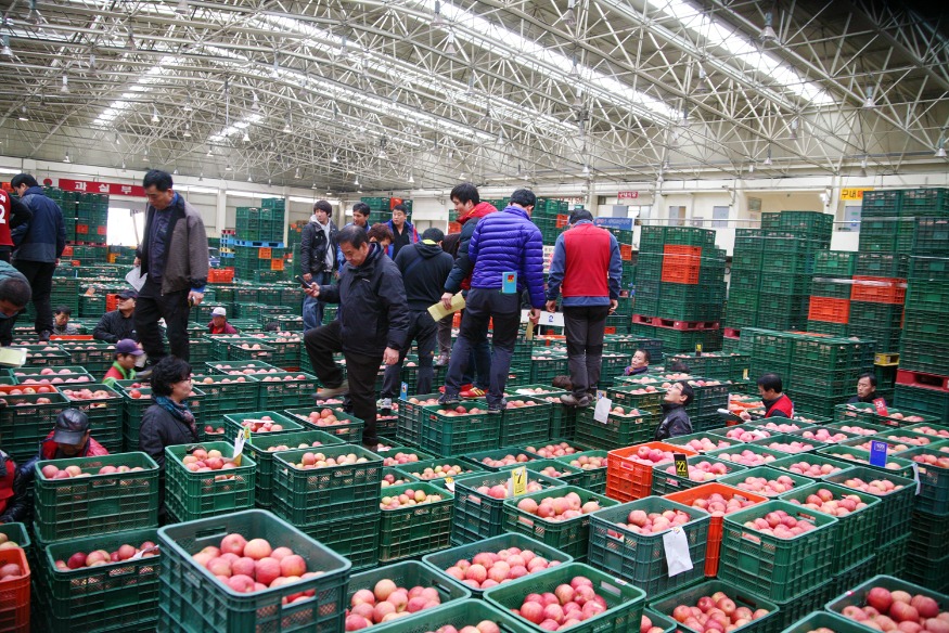 1229 안동시농수산물도매시장 신정 정기휴장 실시.JPG