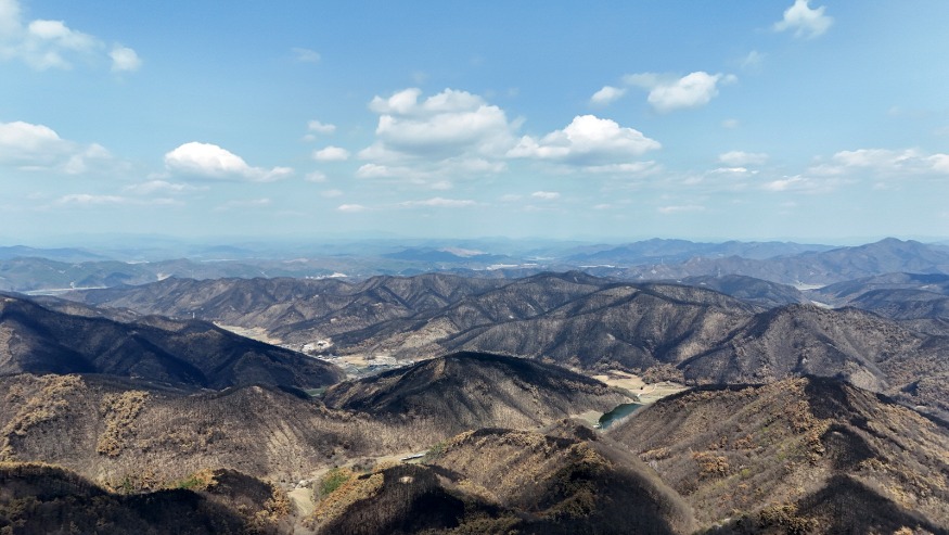 0318 안동시  산림투자선도지구 지정 추진으로 민간투자 유치 박차.jpg