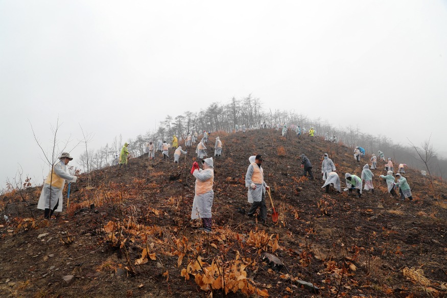 0329 안동시  일상 회복 위에 새로운 미래를 그리다 (4).JPG