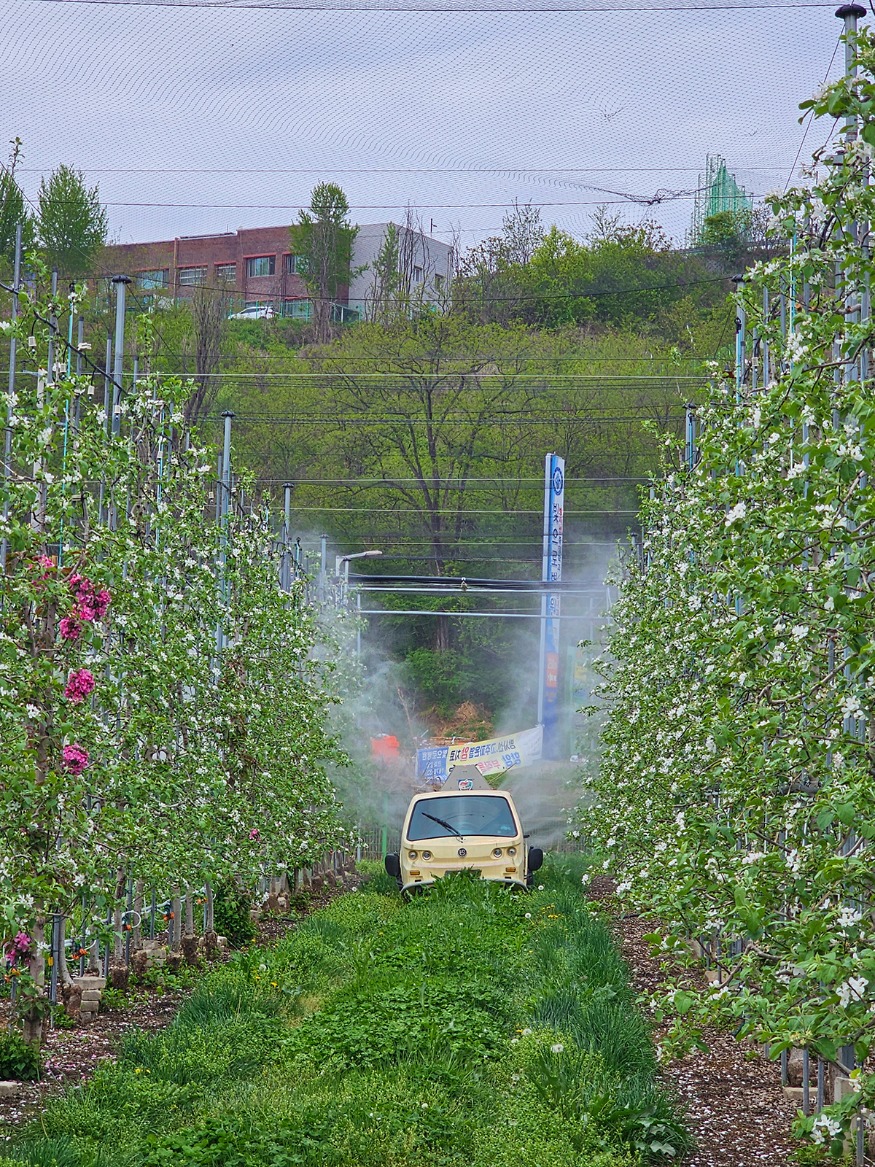 0413 안동시  과수화상병 ‘개화기 적기 방제’ 총력 (1).jpg